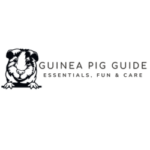 Guinea Pig Guinea Pig bedding Guinea pig lifespan