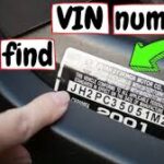 HOW TO QUERY A VEHICLE BY ITS VIN OR SERIES?