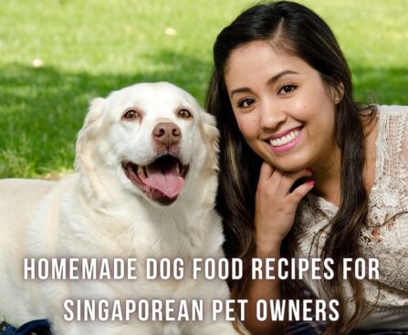 Homemade Dog Food Recipes for Singaporean Pet Owners