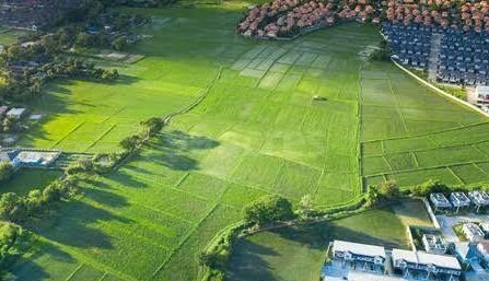 Farm land plots in Guntur