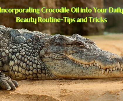 Incorporating Crocodile Oil into Your Daily Beauty Routine-Tips and Tricks