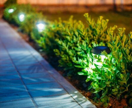Pathway Lights Services