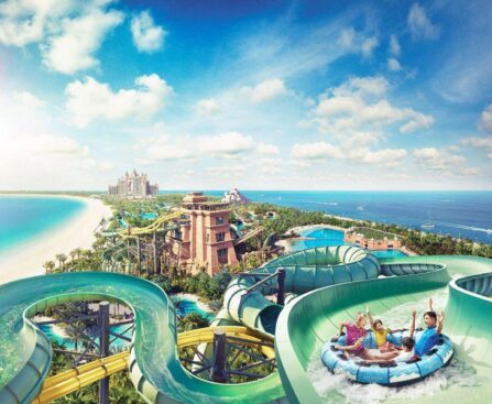 From Water Slides to Waterfalls: Immersing Yourself in the Magic of Wild Wadi Waterpark Tickets