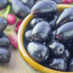 The health benefits of the jamun fruit are diverse