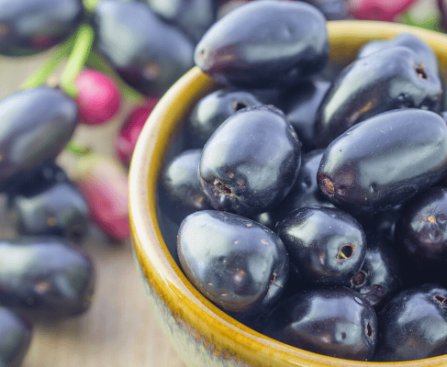 The health benefits of the jamun fruit are diverse
