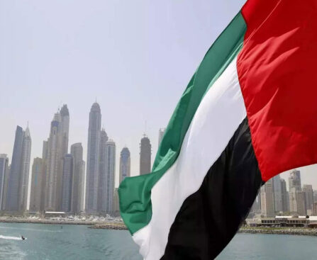 celebrate uae national day in arab emirates