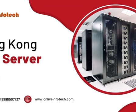 Discover the Pinnacle of Online Performance with Hong Kong VPS Server