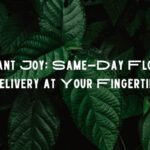 Instant Joy: Same-Day Flower Delivery at Your Fingertips!