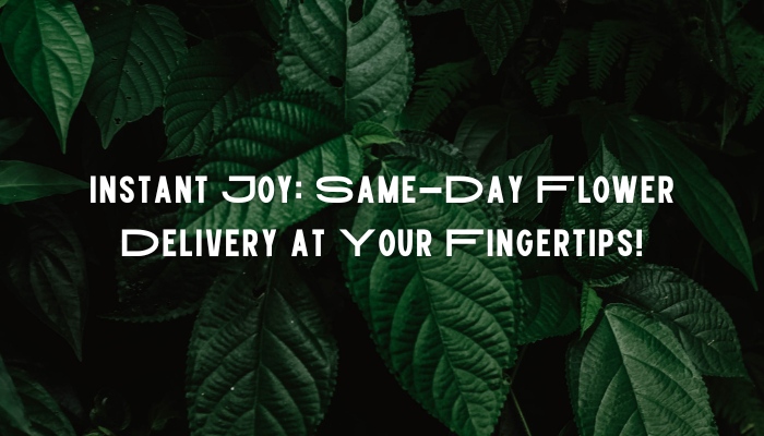 Instant Joy: Same-Day Flower Delivery at Your Fingertips!