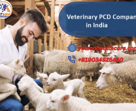 Veterinary-pcd-company
