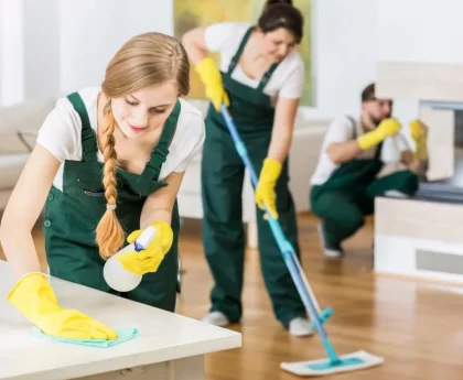 cleaner services