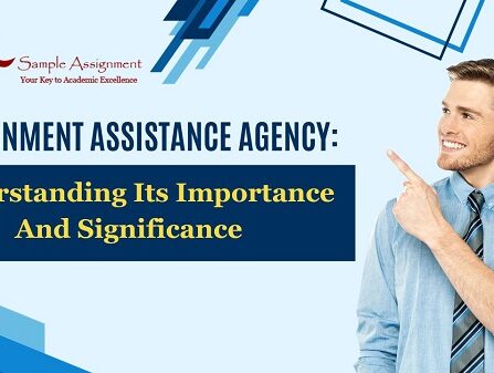 assignment assistance agency