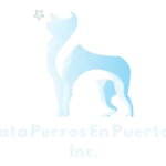 Rescata Perros En Puerto Rico