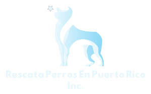 Rescata Perros En Puerto Rico