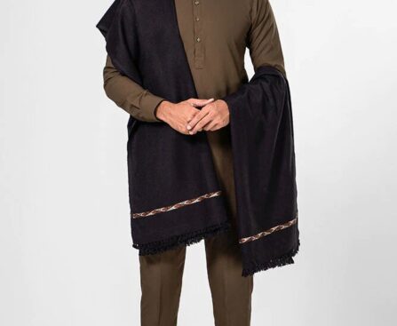 Kashmiri woolen shawl