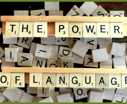 Power of Language Schools