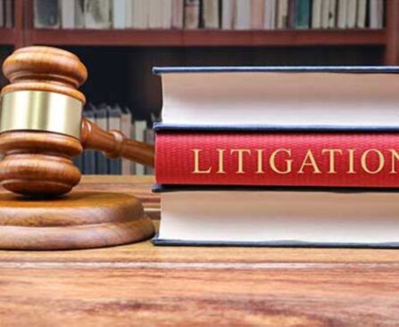 Business Litigation Lawyers