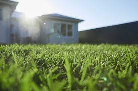 best liquid lawn fertilizer australia