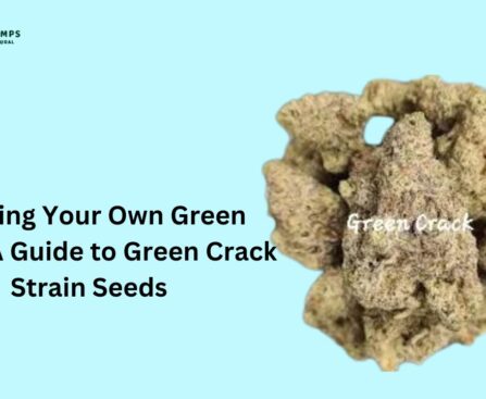Green Crack Strain Seeds